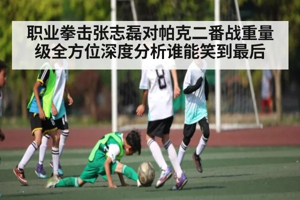 职业拳击张志磊对帕克二番战重量级全方位深度分析谁能笑到最后 - kaiyun